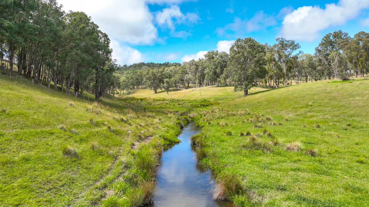 830 Weabonga Road, Weabonga, NSW, 2340 - Image 1