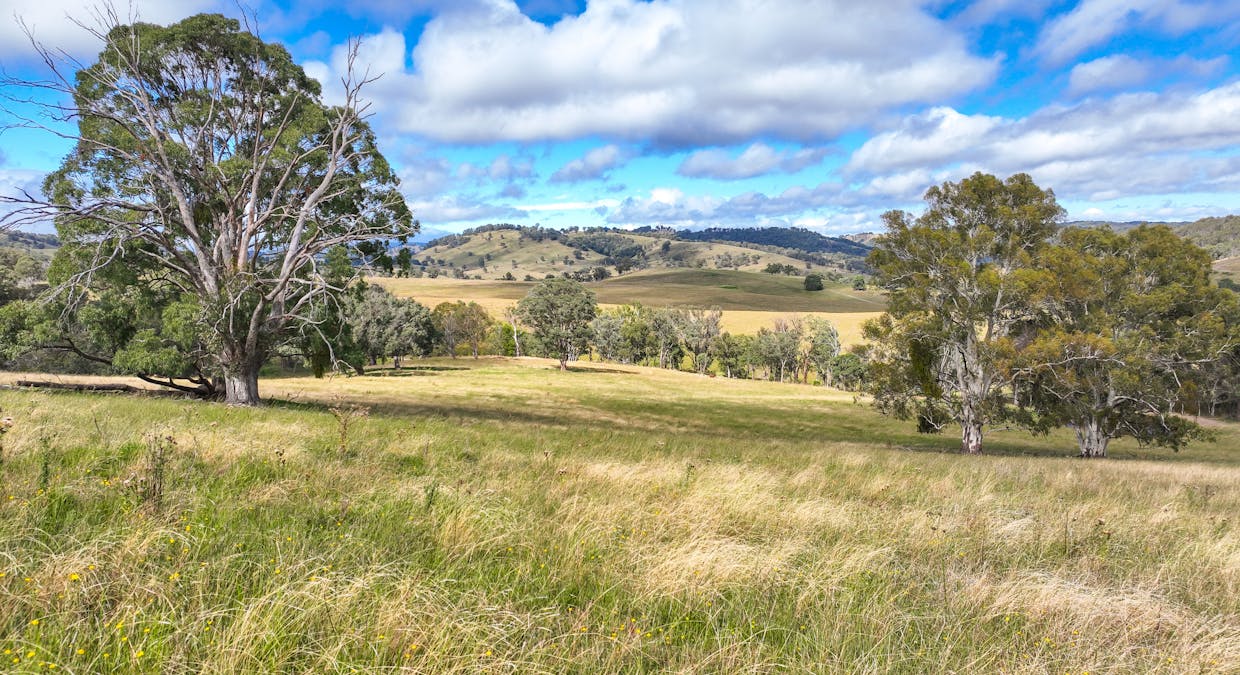 830 Weabonga Road, Weabonga, NSW, 2340 - Image 2