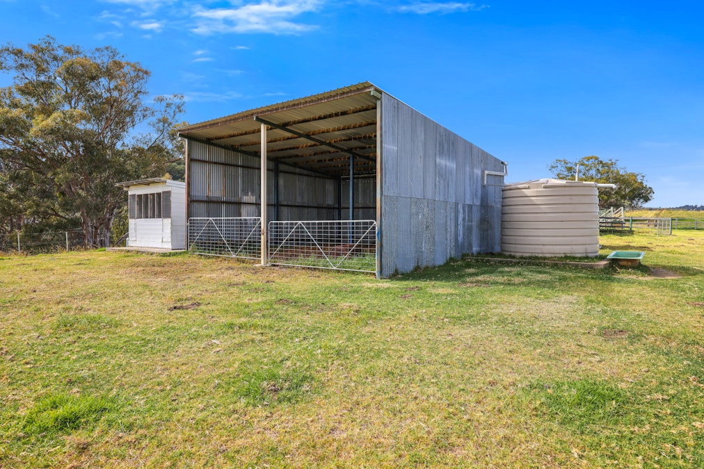 830 Weabonga Road, Weabonga, NSW, 2340 - Image 17