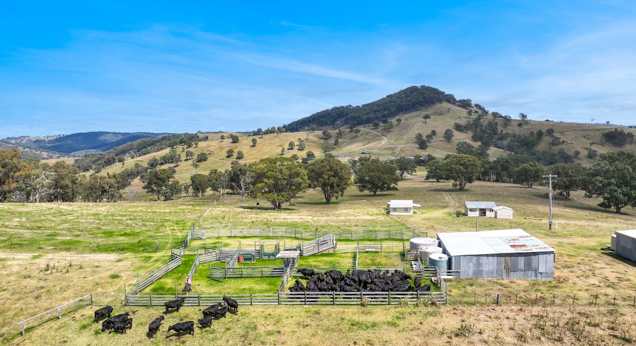 830 Weabonga Road, Weabonga, NSW, 2340 - Image 14