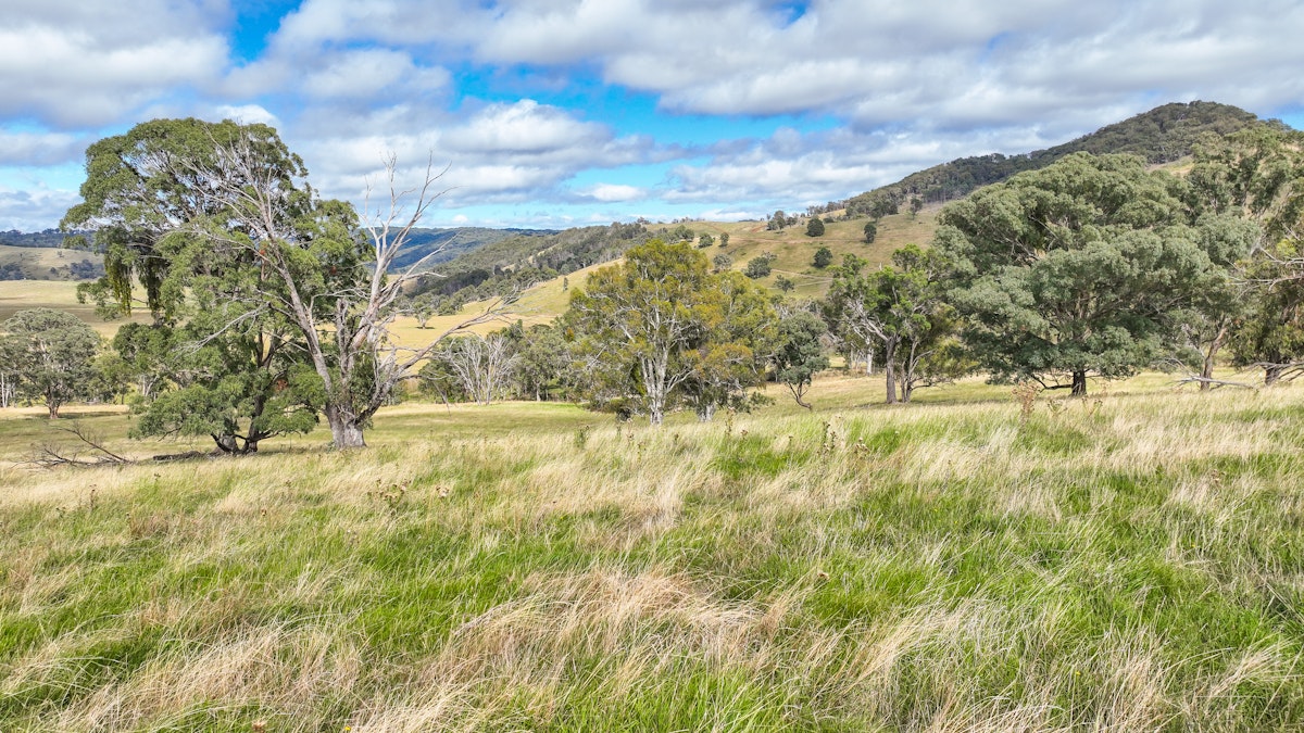 830 Weabonga Road, Weabonga, NSW, 2340 - Image 10