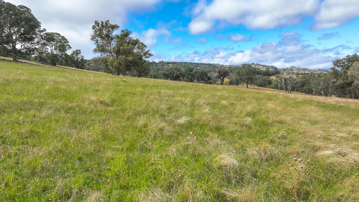 830 Weabonga Road, Weabonga, NSW, 2340 - Image 3