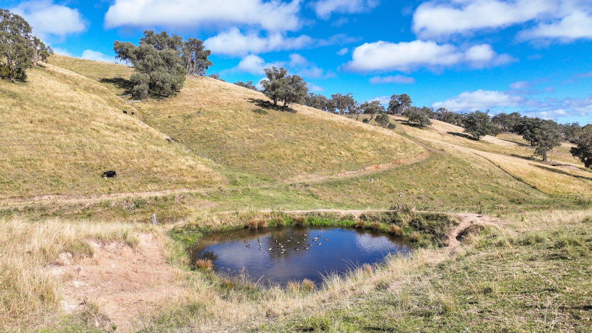 830 Weabonga Road, Weabonga, NSW, 2340 - Image 8