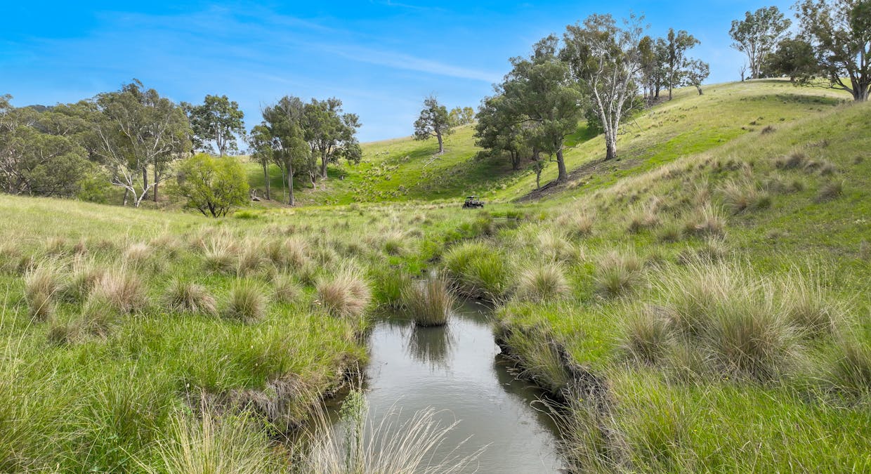 830 Weabonga Road, Weabonga, NSW, 2340 - Image 5