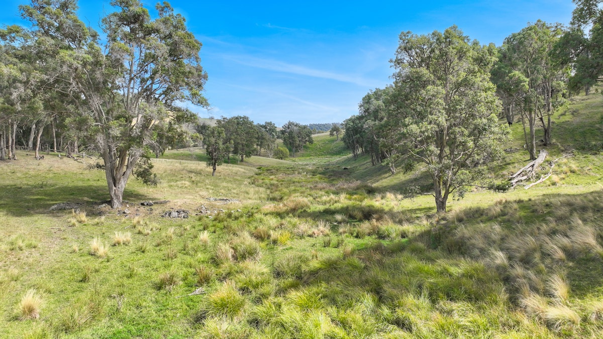 830 Weabonga Road, Weabonga, NSW, 2340 - Image 4