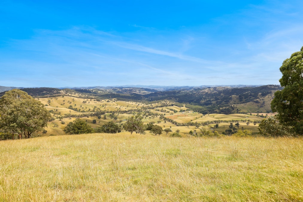 830 Weabonga Road, Weabonga, NSW, 2340 - Image 22