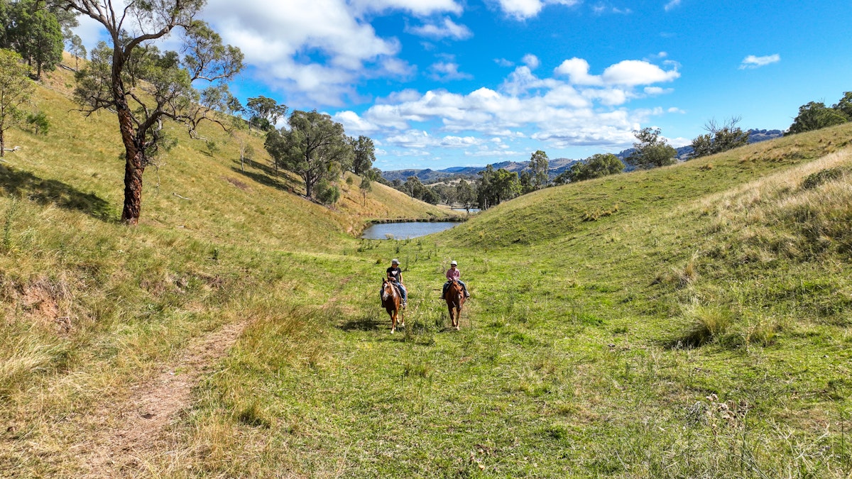 830 Weabonga Road, Weabonga, NSW, 2340 - Image 12