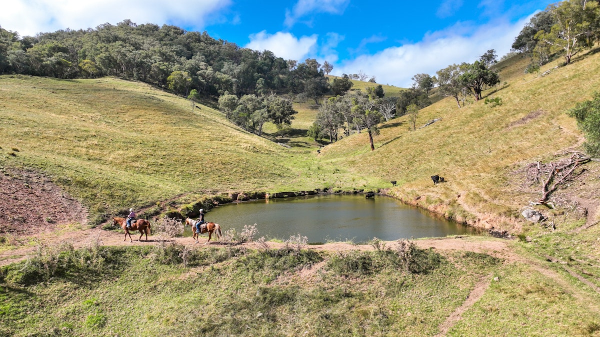 830 Weabonga Road, Weabonga, NSW, 2340 - Image 9