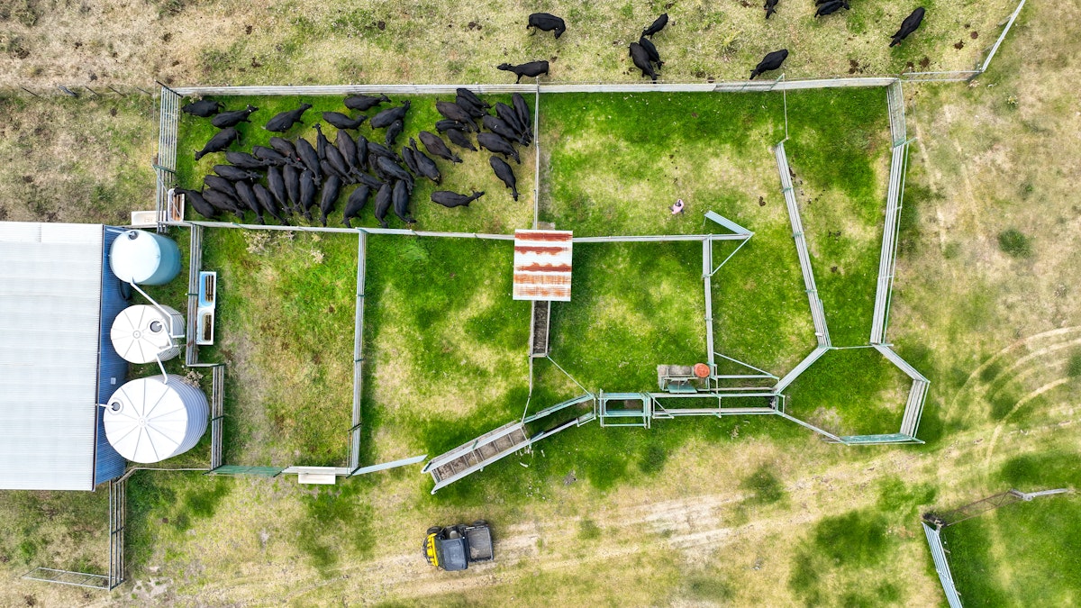 830 Weabonga Road, Weabonga, NSW, 2340 - Image 13