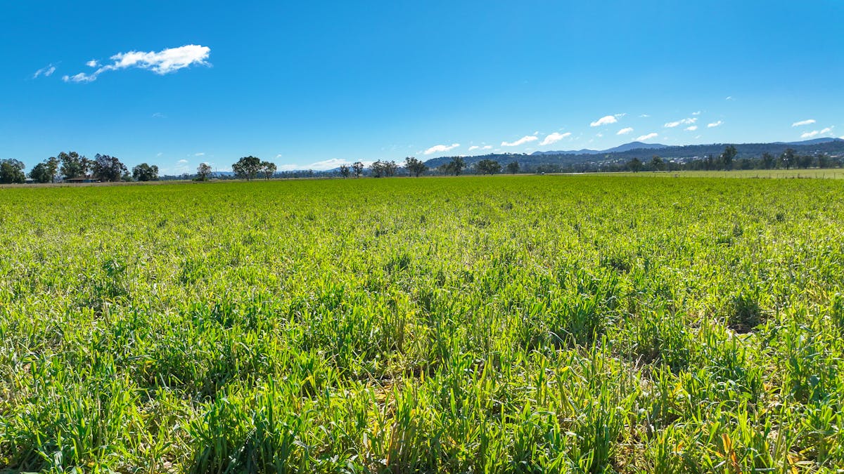 102 Wallamore Road, Tamworth, NSW, 2340 - Image 14
