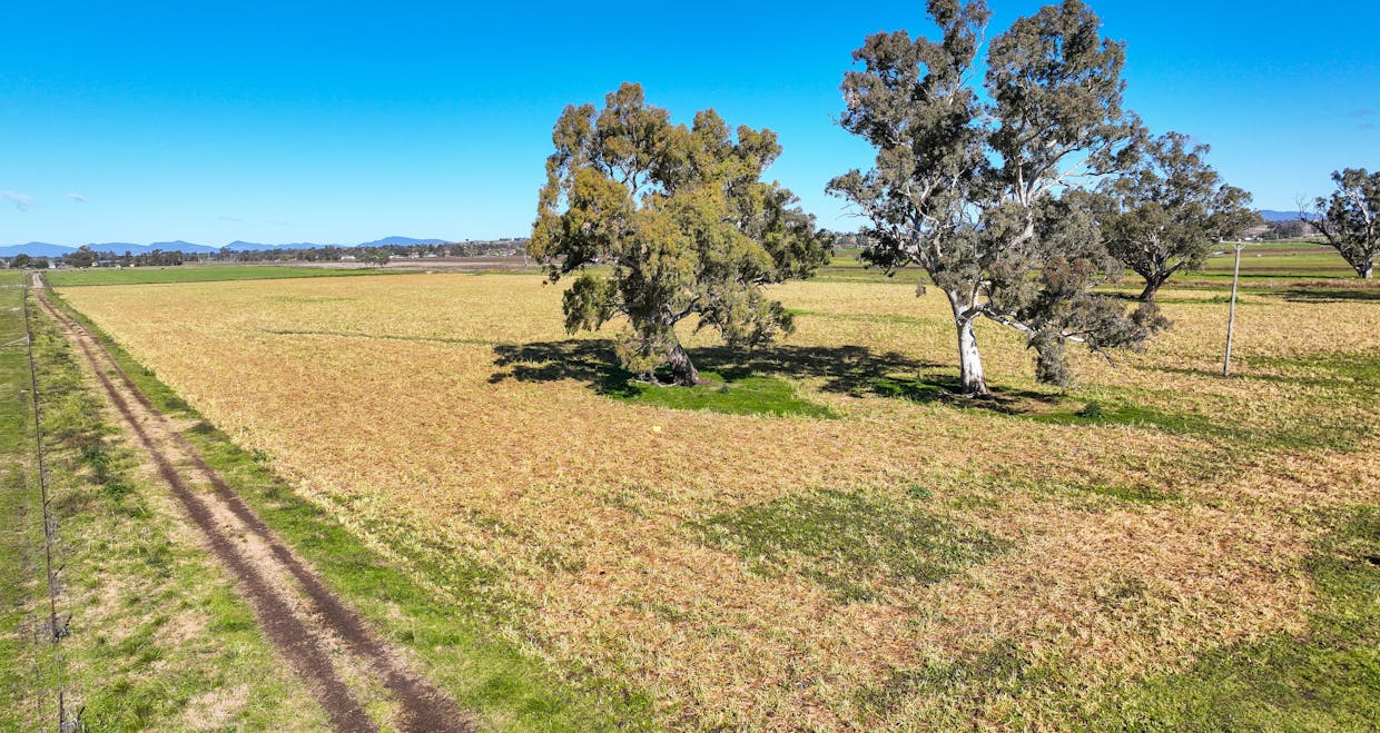 102 Wallamore Road, Tamworth, NSW, 2340 - Image 12