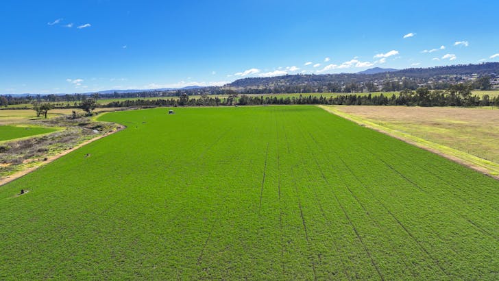 102 Wallamore Road, Tamworth, NSW, 2340 - Image 1
