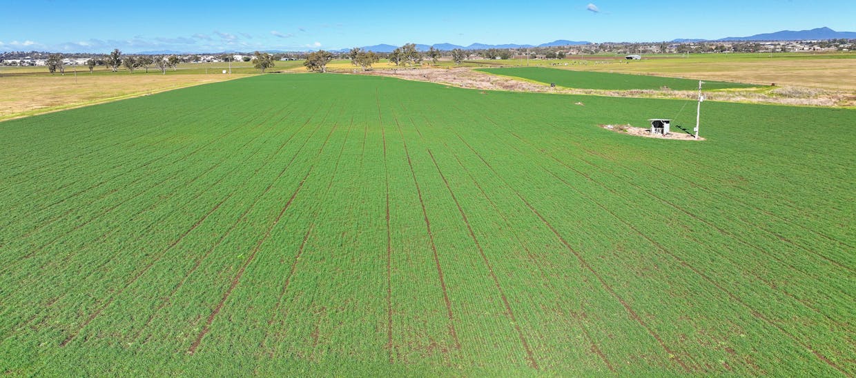 102 Wallamore Road, Tamworth, NSW, 2340 - Image 16