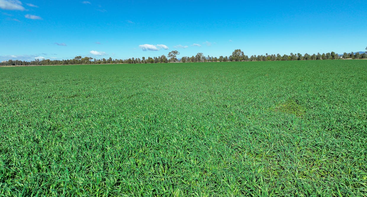 102 Wallamore Road, Tamworth, NSW, 2340 - Image 17