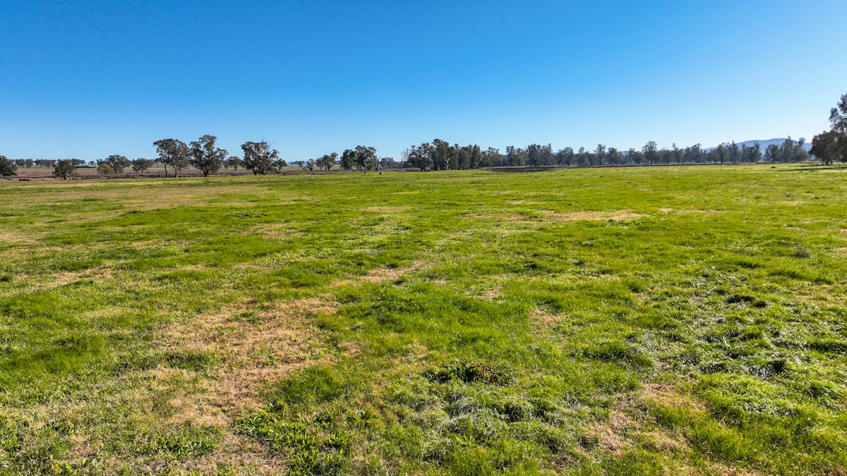 109 Reilleys Road, Tamworth, NSW, 2340 - Image 13