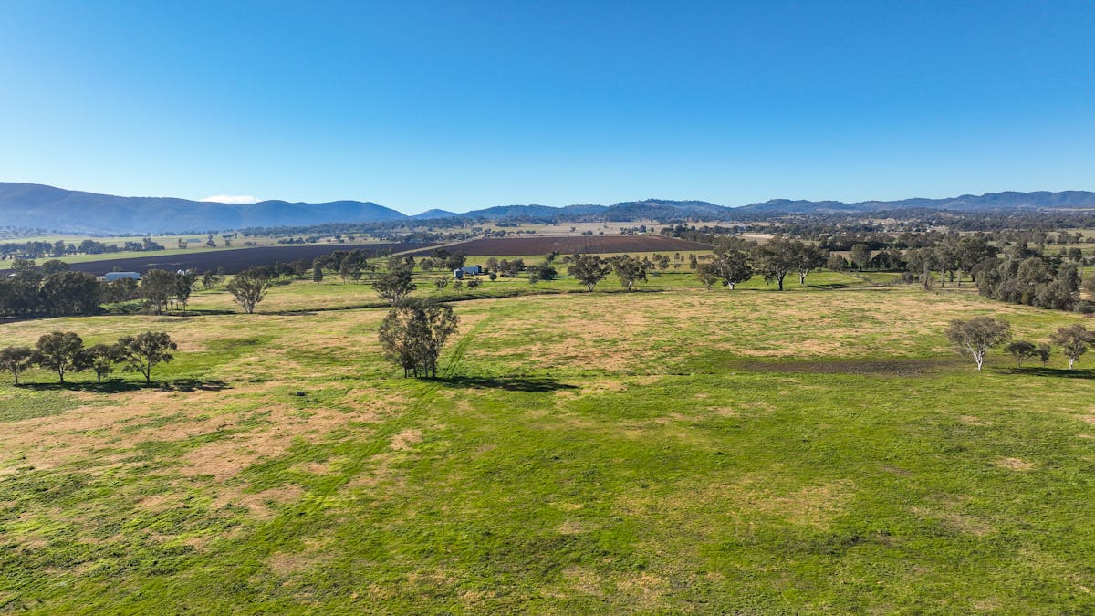109 Reilleys Road, Tamworth, NSW, 2340 - Image 14