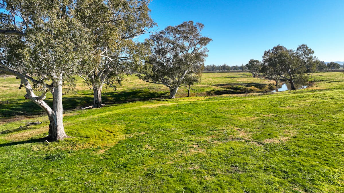 109 Reilleys Road, Tamworth, NSW, 2340 - Image 15