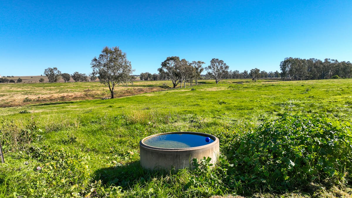 109 Reilleys Road, Tamworth, NSW, 2340 - Image 18