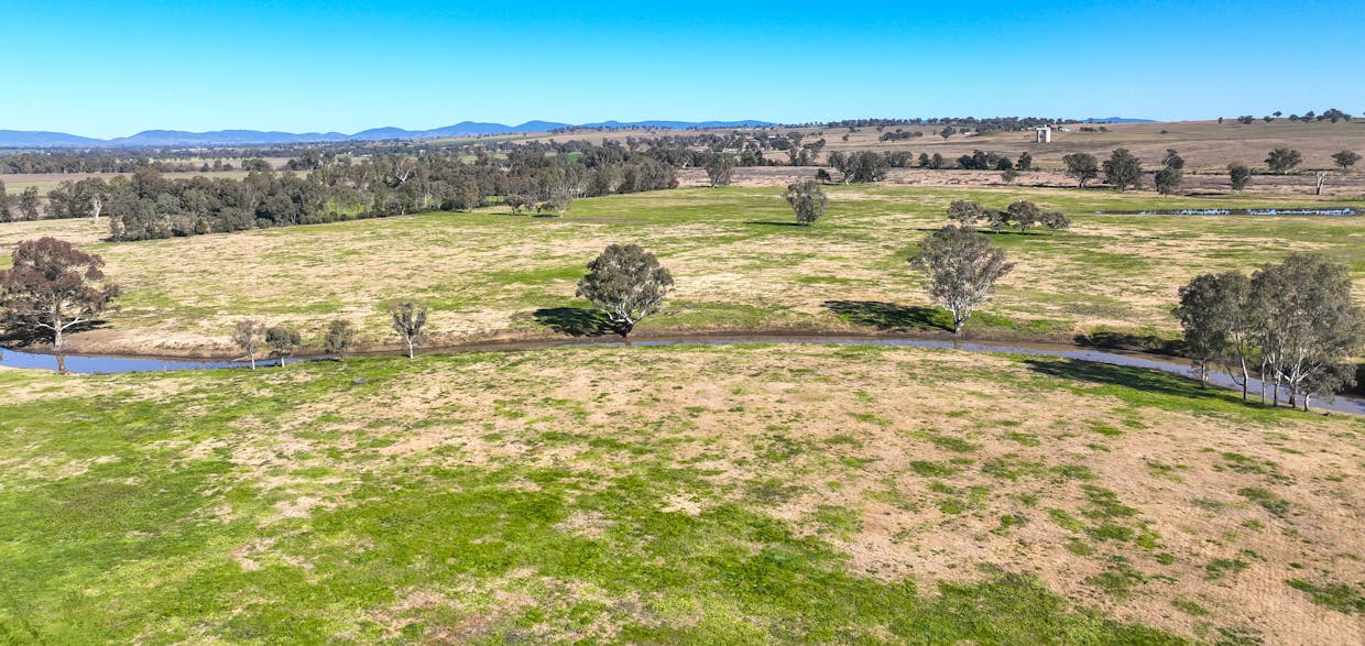 109 Reilleys Road, Tamworth, NSW, 2340 - Image 21