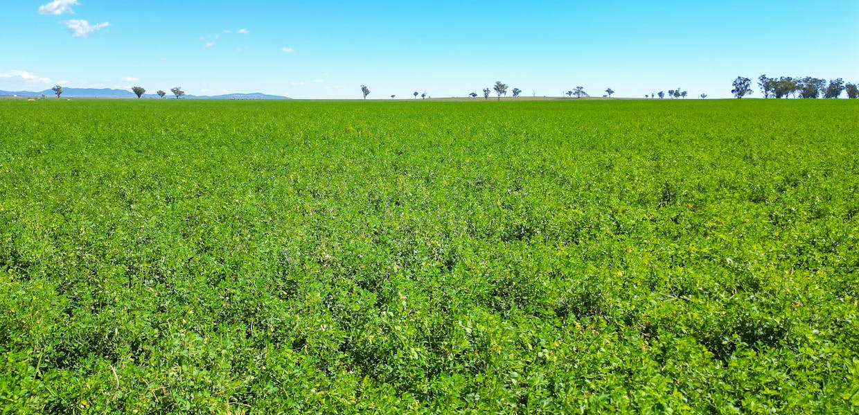 322 Balcarry Lane, Tamworth, NSW, 2340 - Image 5