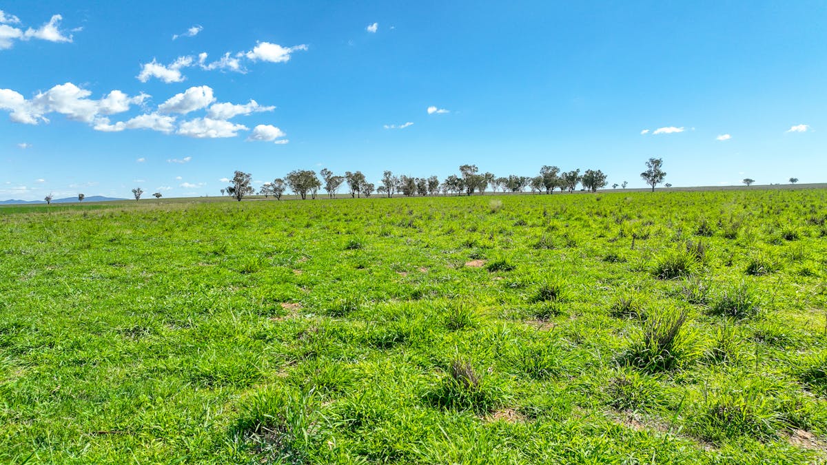 322 Balcarry Lane, Tamworth, NSW, 2340 - Image 6