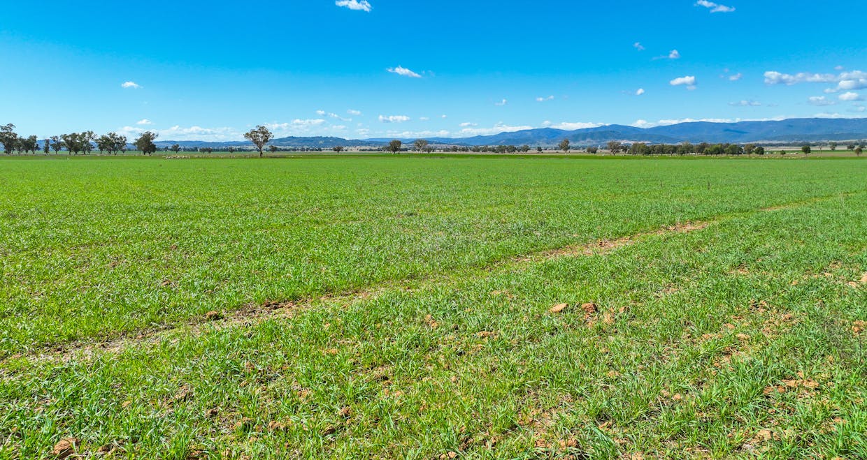 322 Balcarry Lane, Tamworth, NSW, 2340 - Image 9