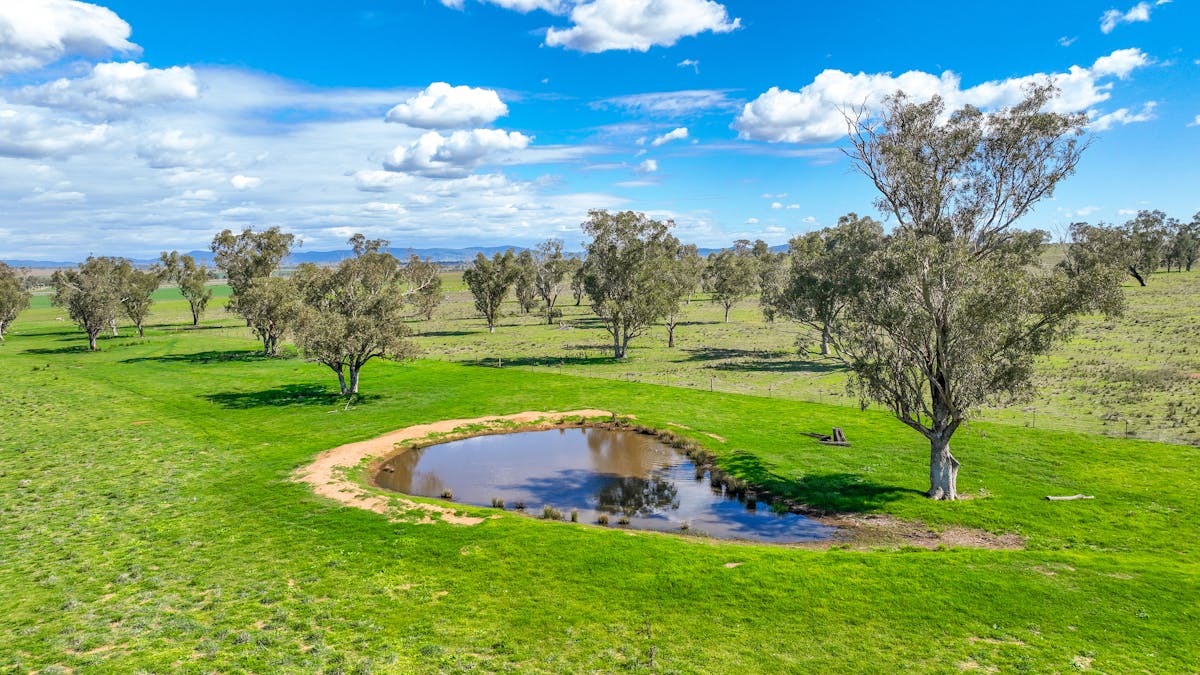 322 Balcarry Lane, Tamworth, NSW, 2340 - Image 7
