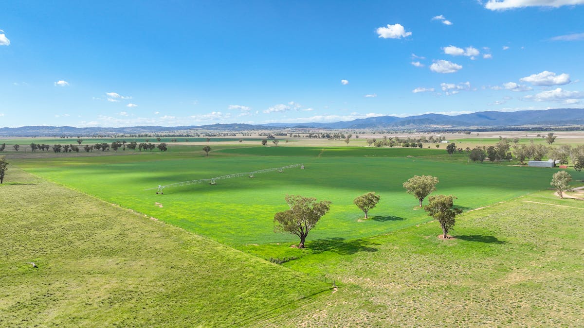 322 Balcarry Lane, Tamworth, NSW, 2340 - Image 13