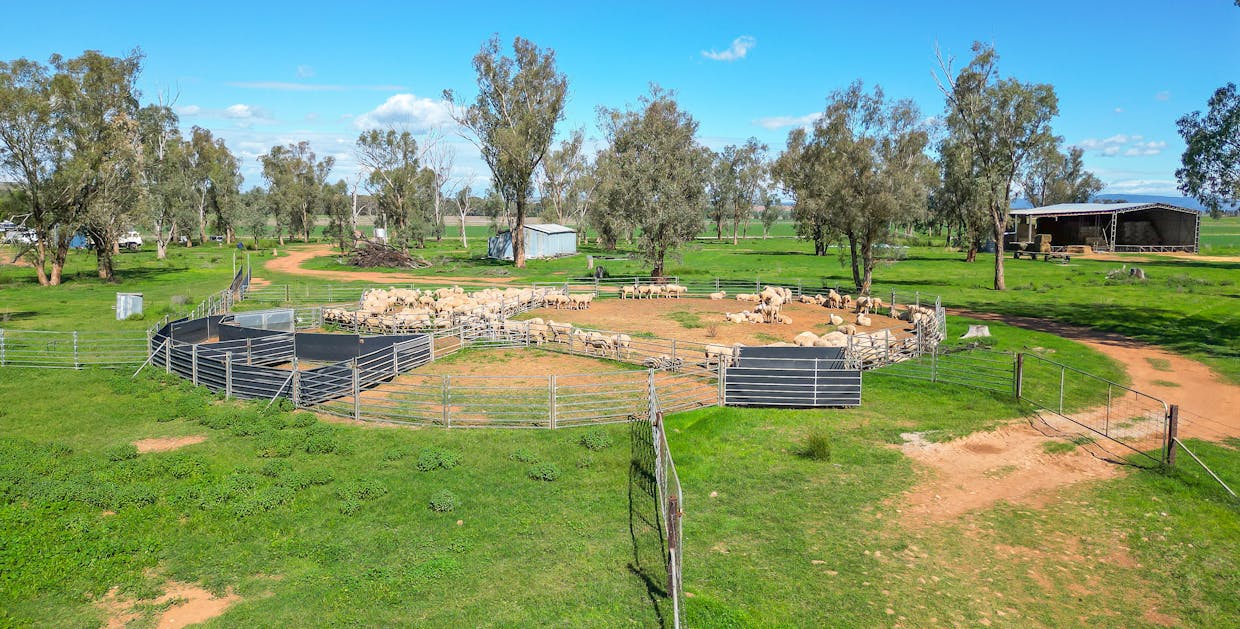 322 Balcarry Lane, Tamworth, NSW, 2340 - Image 12
