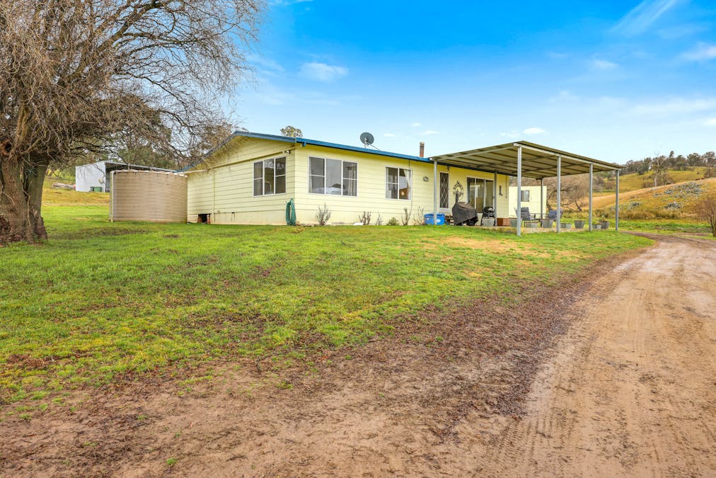 496 Tia Diggings Road, Walcha, NSW, 2354 - Image 3
