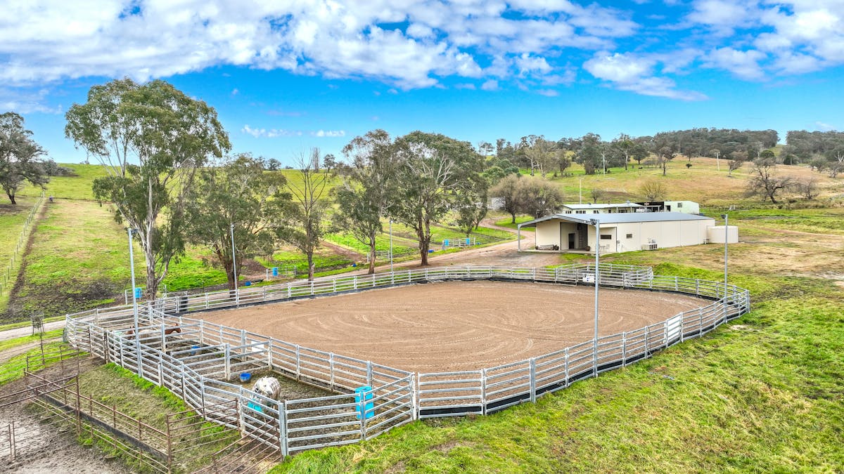 496 Tia Diggings Road, Walcha, NSW, 2354 - Image 2