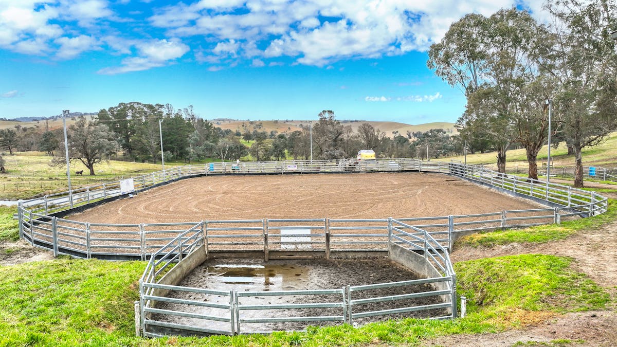 496 Tia Diggings Road, Walcha, NSW, 2354 - Image 15