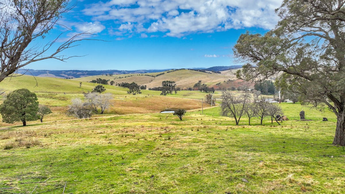 496 Tia Diggings Road, Walcha, NSW, 2354 - Image 17