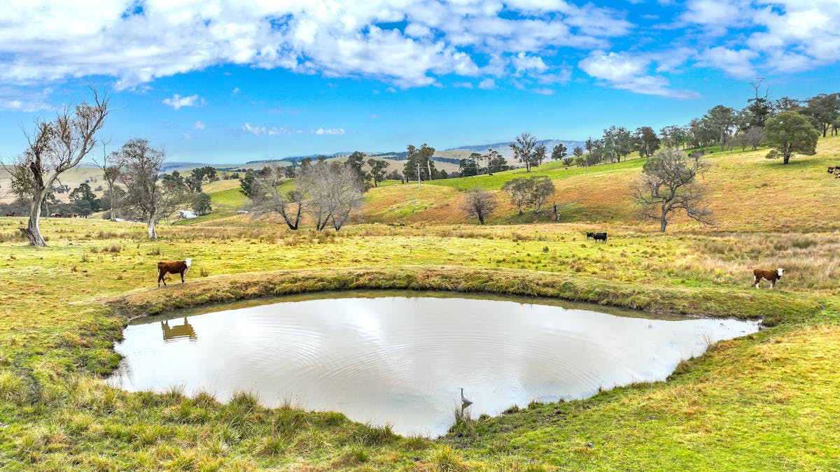 496 Tia Diggings Road, Walcha, NSW, 2354 - Image 18