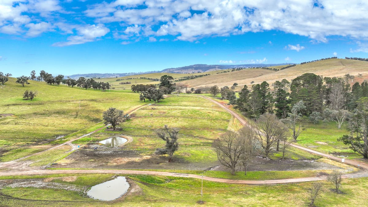 496 Tia Diggings Road, Walcha, NSW, 2354 - Image 19