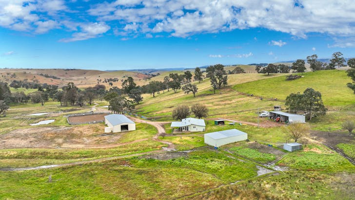 496 Tia Diggings Road, Walcha, NSW, 2354 - Image 1