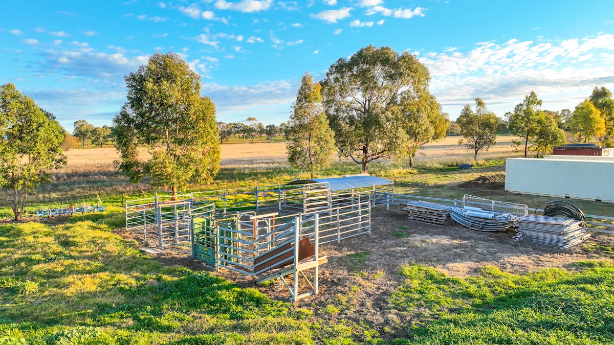 53C Nowland Crescent, Tamworth, NSW, 2340 - Image 22