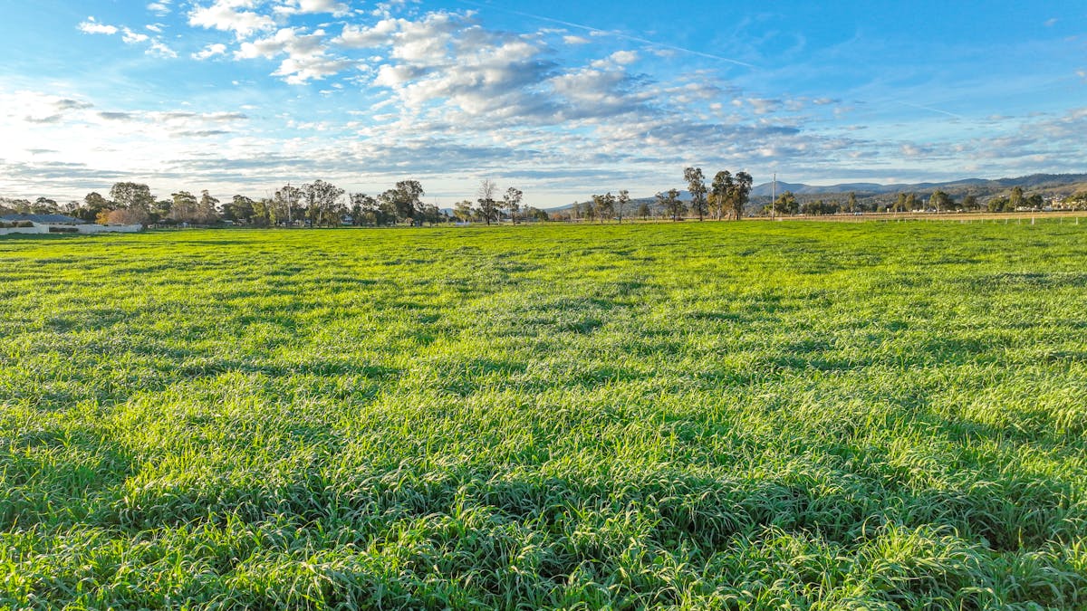 53C Nowland Crescent, Tamworth, NSW, 2340 - Image 25