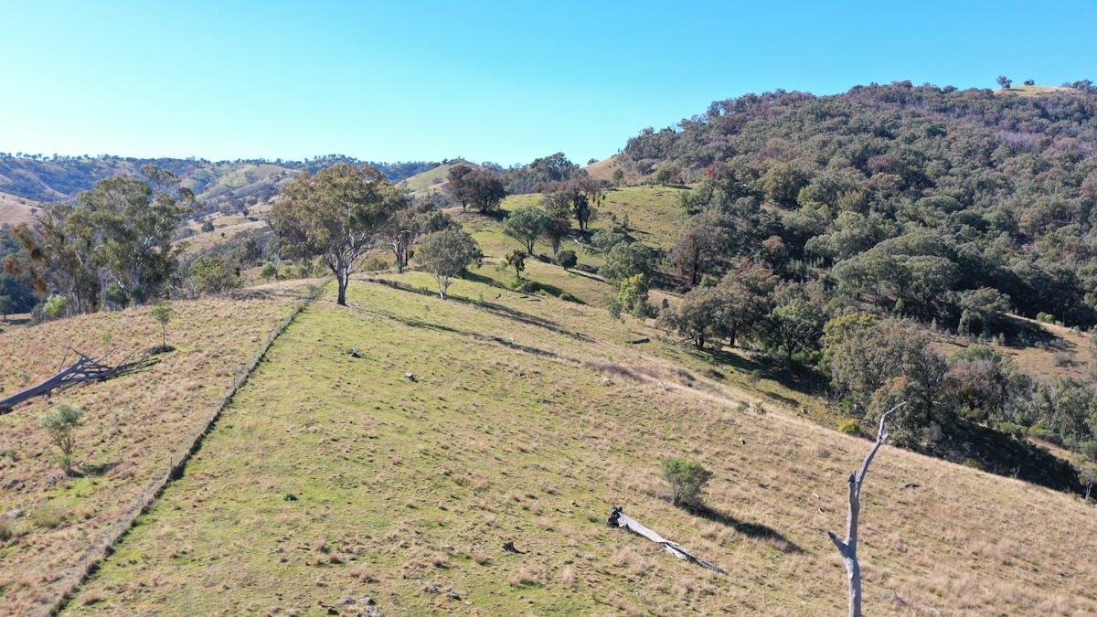 1022 Danglemah Road, Limbri, NSW, 2352 - Image 5