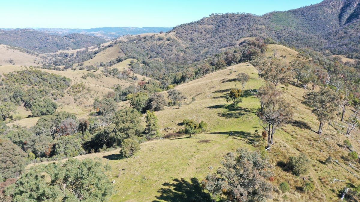 1022 Danglemah Road, Limbri, NSW, 2352 - Image 7