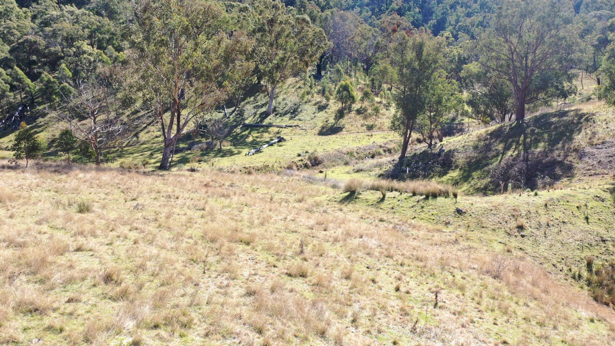 1022 Danglemah Road, Limbri, NSW, 2352 - Image 2