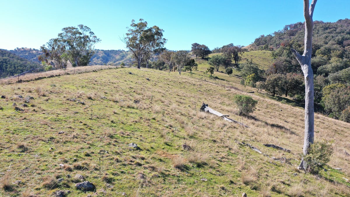 1022 Danglemah Road, Limbri, NSW, 2352 - Image 9