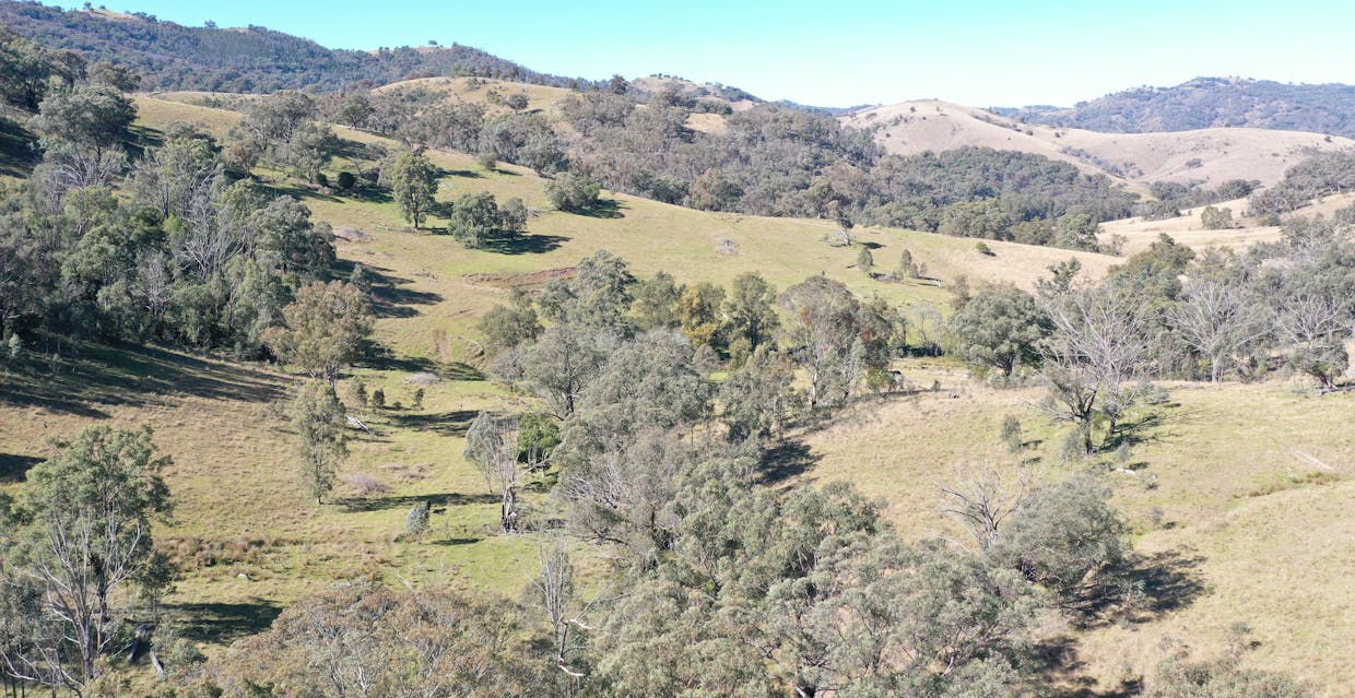 1022 Danglemah Road, Limbri, NSW, 2352 - Image 11