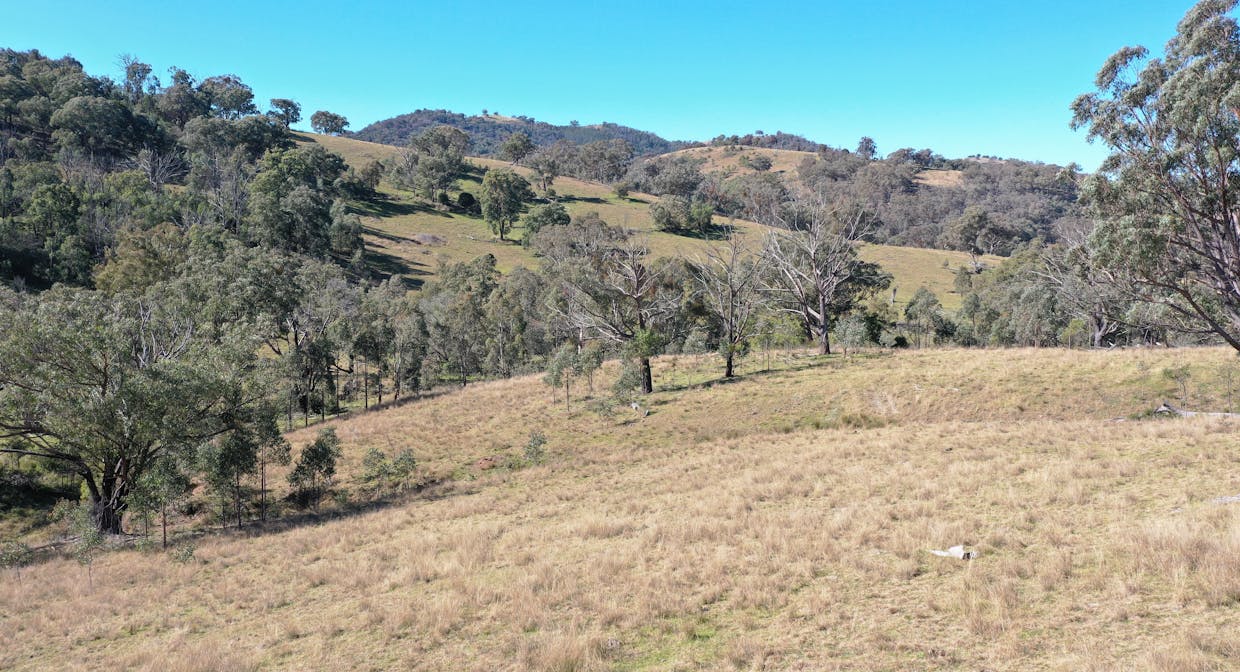 1022 Danglemah Road, Limbri, NSW, 2352 - Image 12