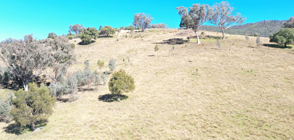 1022 Danglemah Road, Limbri, NSW, 2352 - Image 15