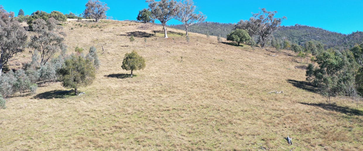 1022 Danglemah Road, Limbri, NSW, 2352 - Image 3