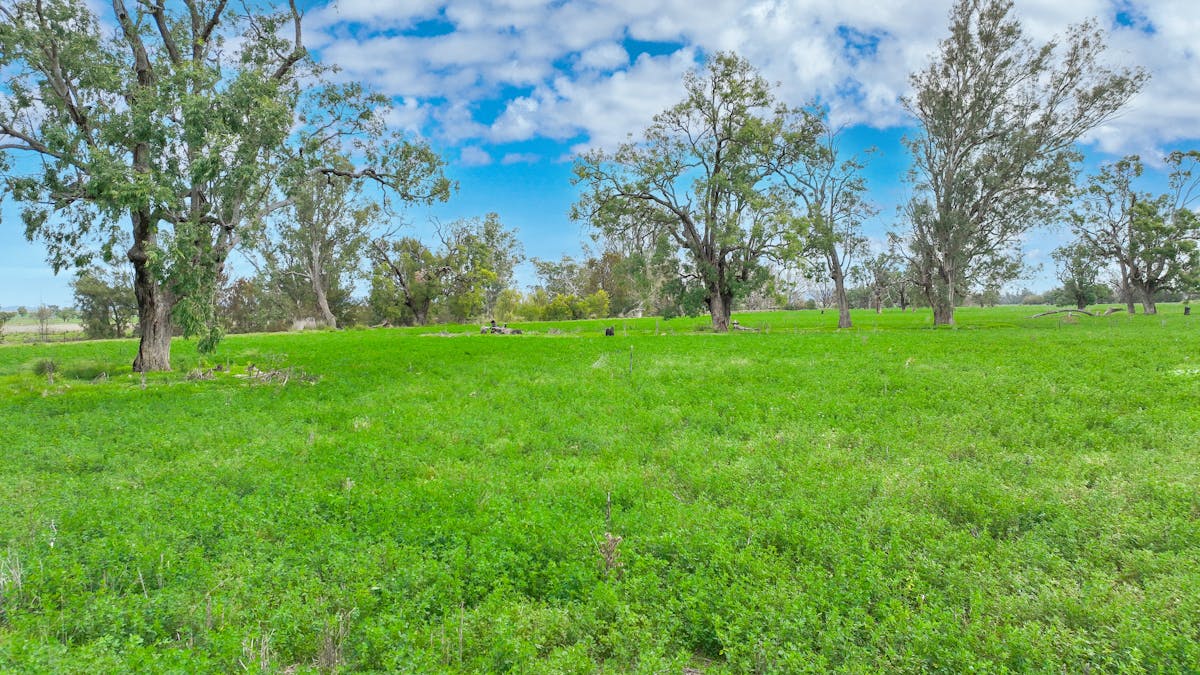 359 Balcarry Lane, Attunga, NSW, 2345 - Image 1