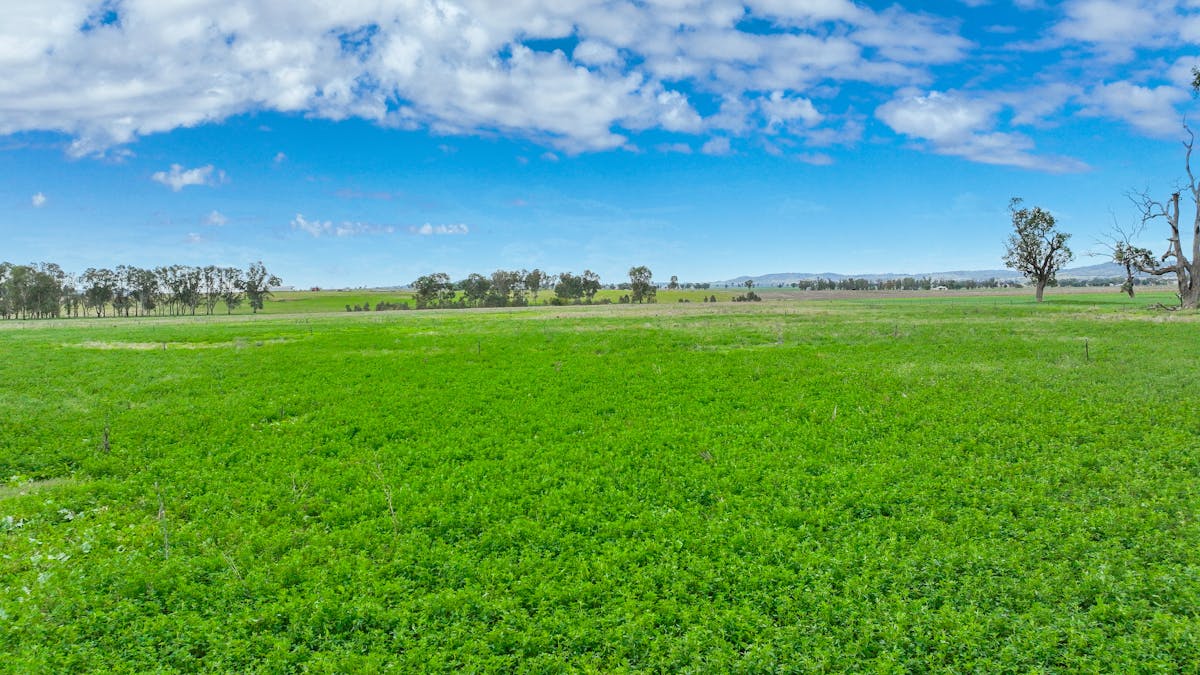 359 Balcarry Lane, Attunga, NSW, 2345 - Image 2