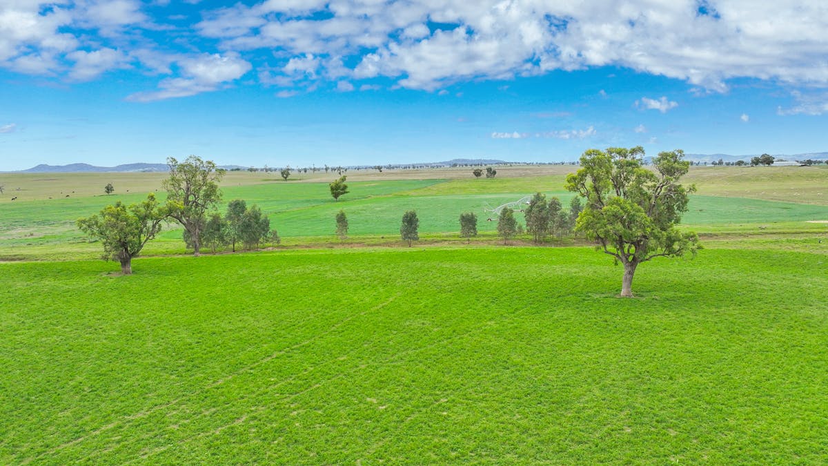 359 Balcarry Lane, Attunga, NSW, 2345 - Image 3