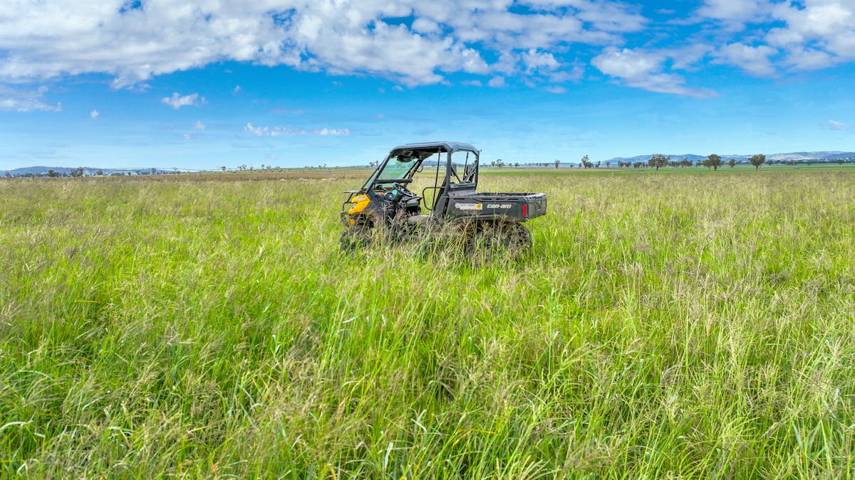 359 Balcarry Lane, Attunga, NSW, 2345 - Image 4